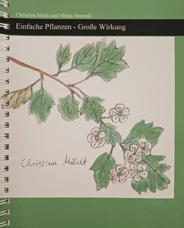 Buch Cover